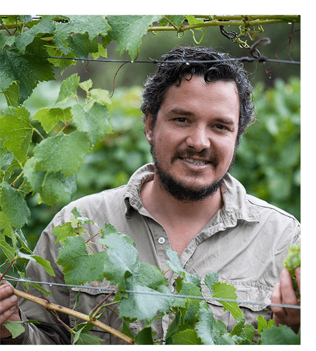 Dr. Martin Moran standing in the vineyard