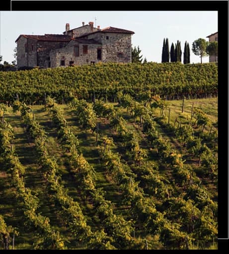 Wine bottles from Wine Network estates