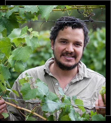Dr. Martin Moran standing in the vineyard